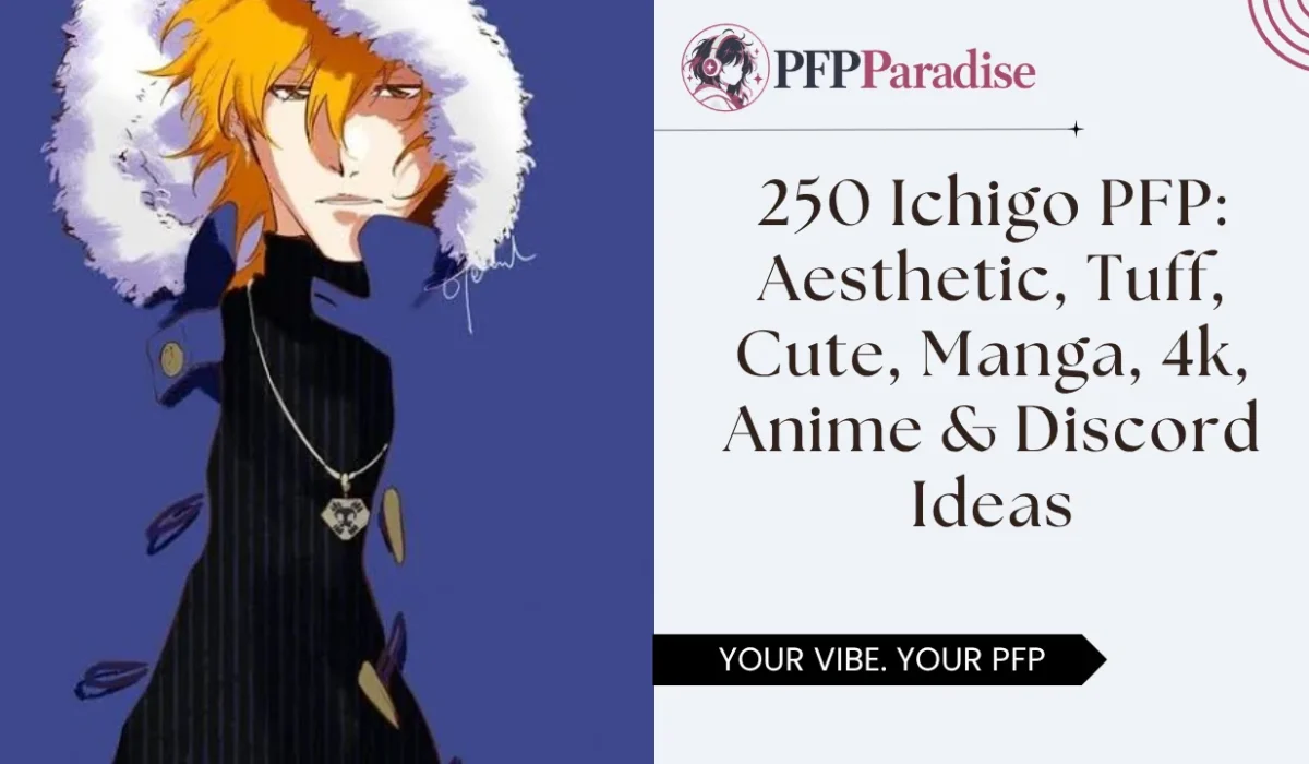 Ichigo PFP