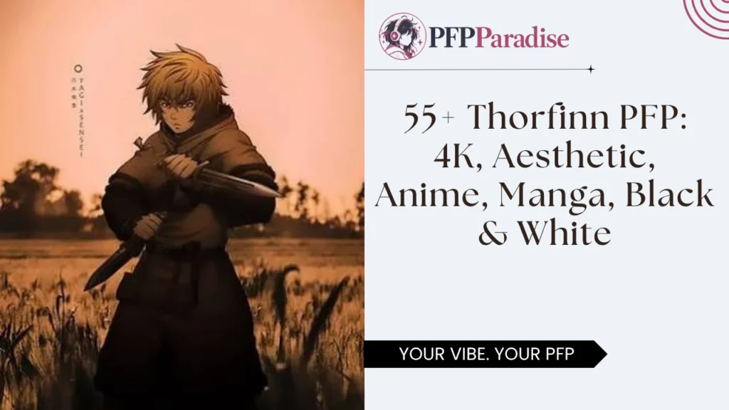 Thorfinn PFP