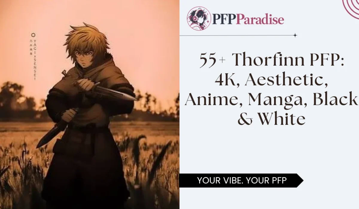 Thorfinn PFP